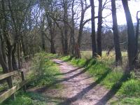 Klik op de foto voor groter formaat